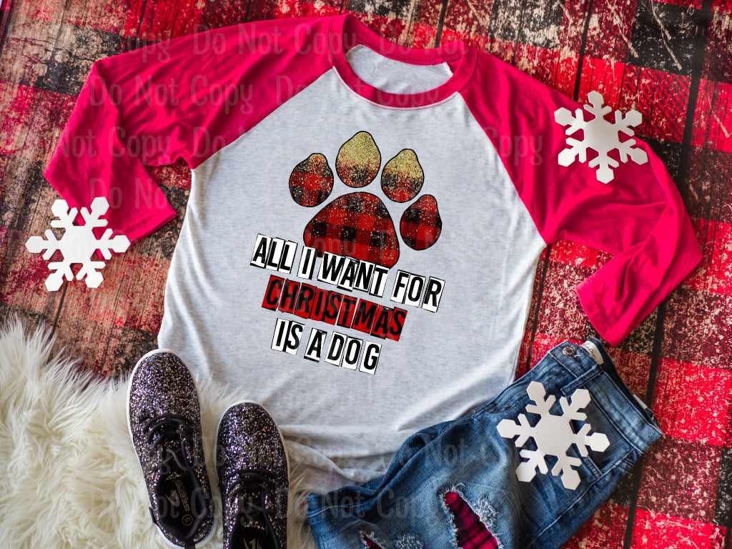 All I Want For Christmas Is A Dog - Paw