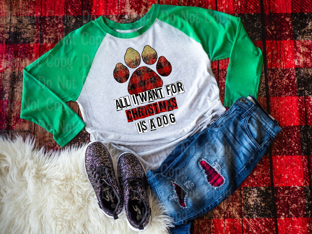All I Want For Christmas Is A Dog - Paw