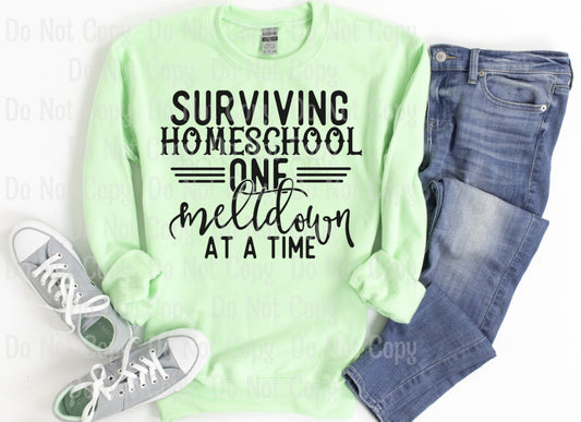 Surviving Homeschool - Screen Print Transfers