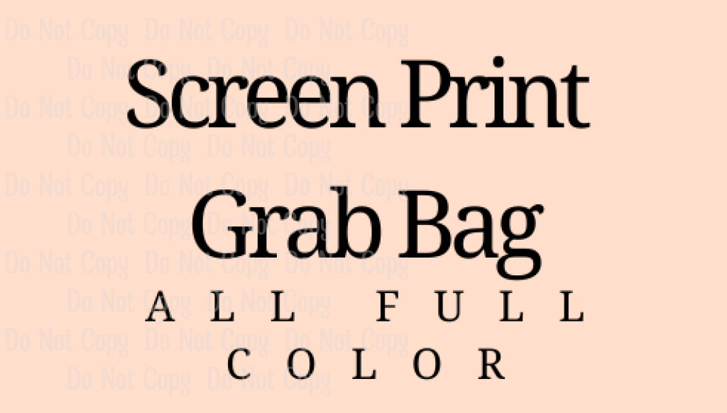 Full Color Screen Print Grab Bag **all Transfers